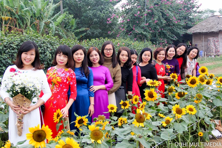 Trường TH Nguyễn Trãi - Hải Dương