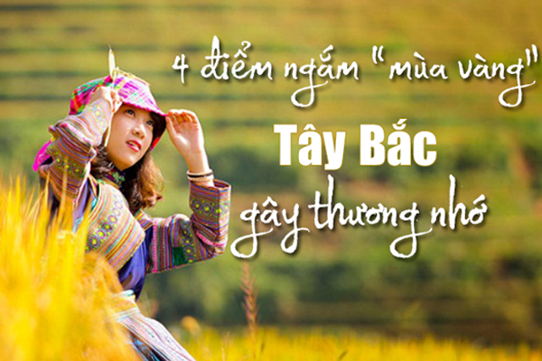 Điểm mặt 4 địa điểm du lịch Tây Bắc mùa lúa chín gây thương nhớ