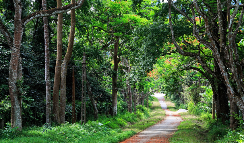 Hà Nội - Rừng Quốc Gia Cúc Phương - Hà Nội
