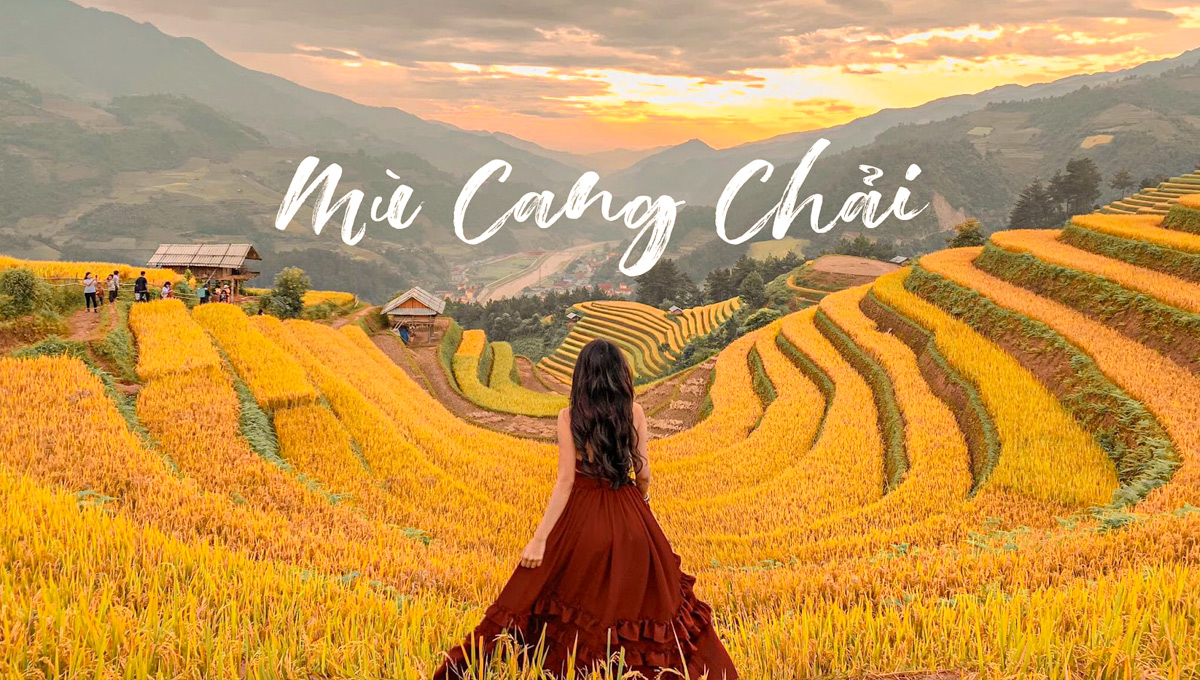 Mù Cang Chải mùa lúa chín 3 ngày 2 đêm