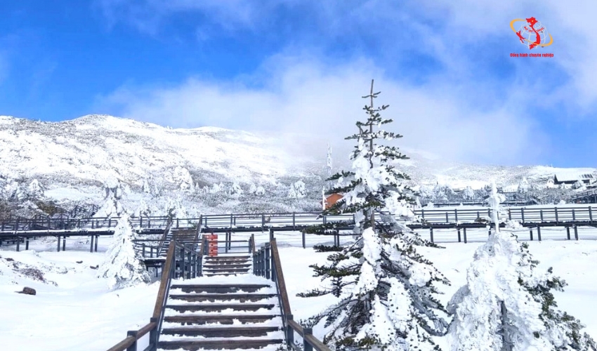 Hà Khẩu - Thạch Lâm - Côn Minh - Kiệu Tử Sơn - Kiến Thủy - Mông Tự - 5 ngày 4 đêm