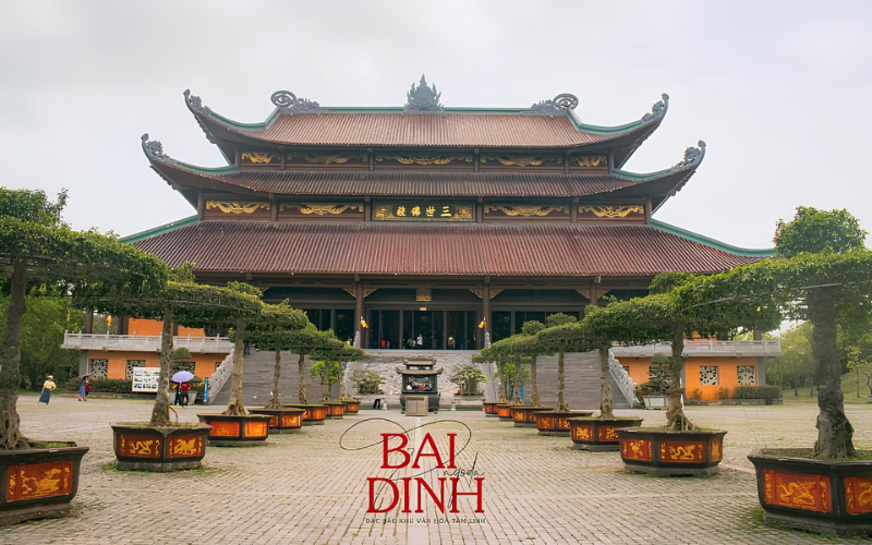 Bái Đính - Địa Tạng - Cây Thị 1N